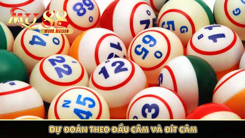 Soi Cầu Bạc Nhớ - Phương Pháp Bắt Lô Đề Chuẩn Siêu Bá 8 Dự đoán theo đầu câm và đít câm