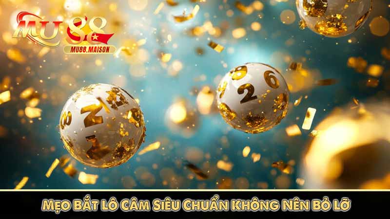 Mẹo Bắt Lô Câm Siêu Chuẩn Không Nên Bỏ Lỡ